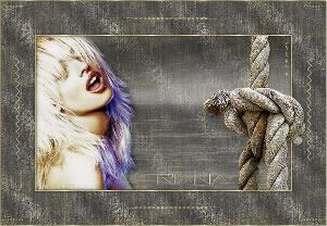 Album