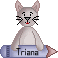pixel xana