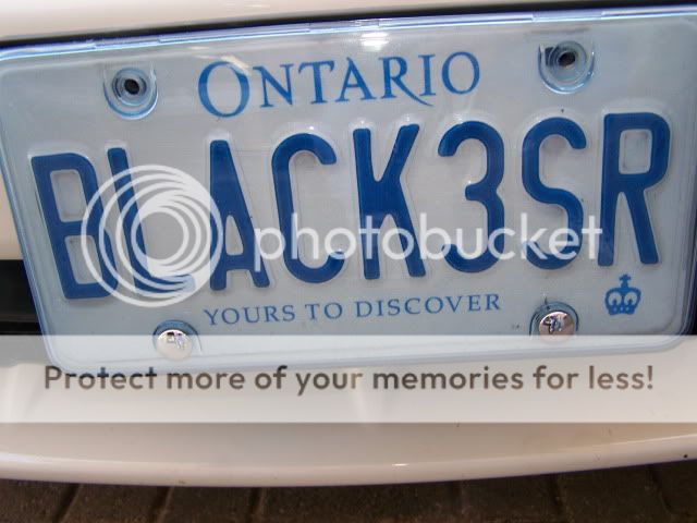 licence plate protector