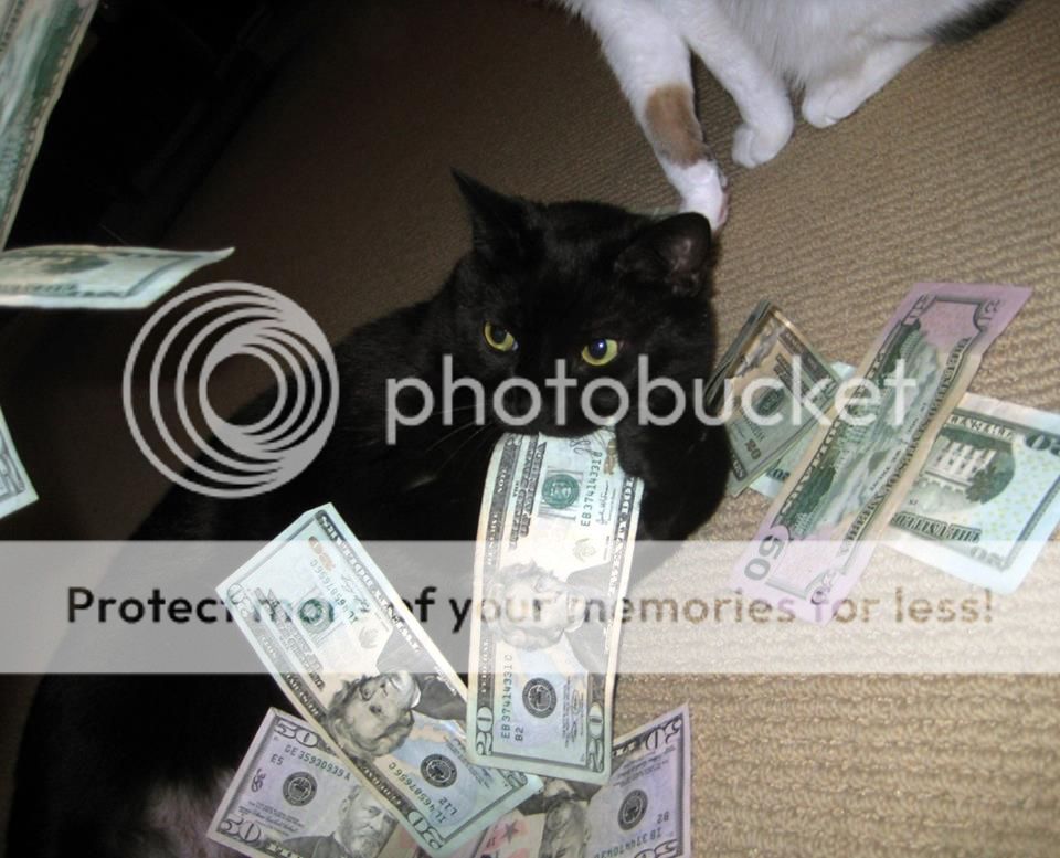  photo 05cats_are_rich_zpsf333fba5.jpg