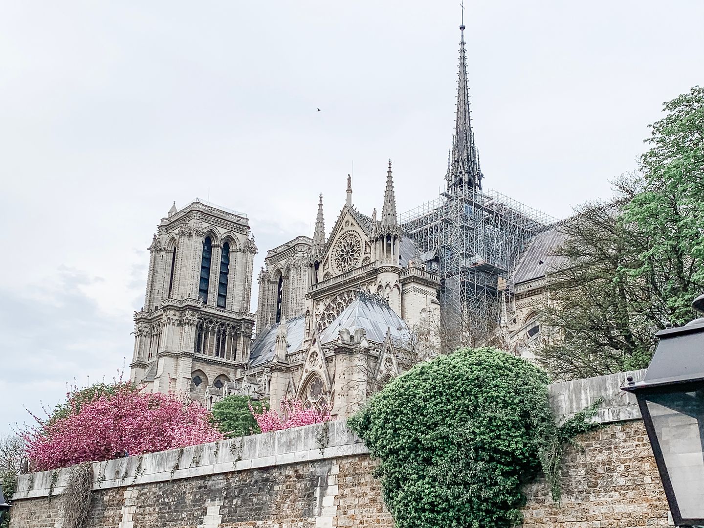 Notre Dame Paris France from boat tour