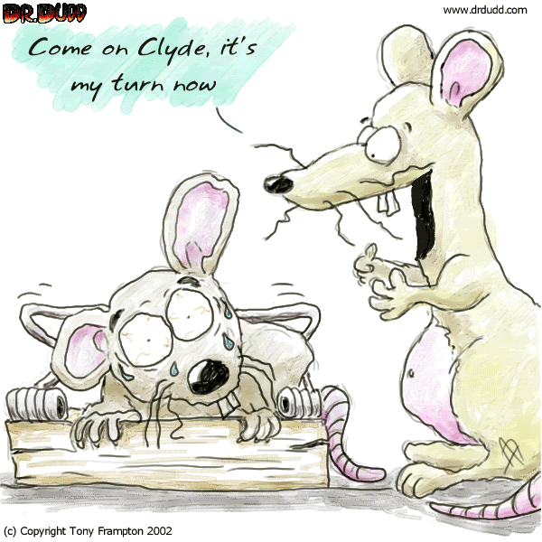 mouse-trap.gif