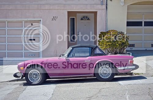 purpletr6.jpg