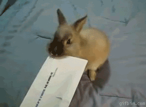 5326b41cb6fec67e2bda56ac48b78fe8.gif