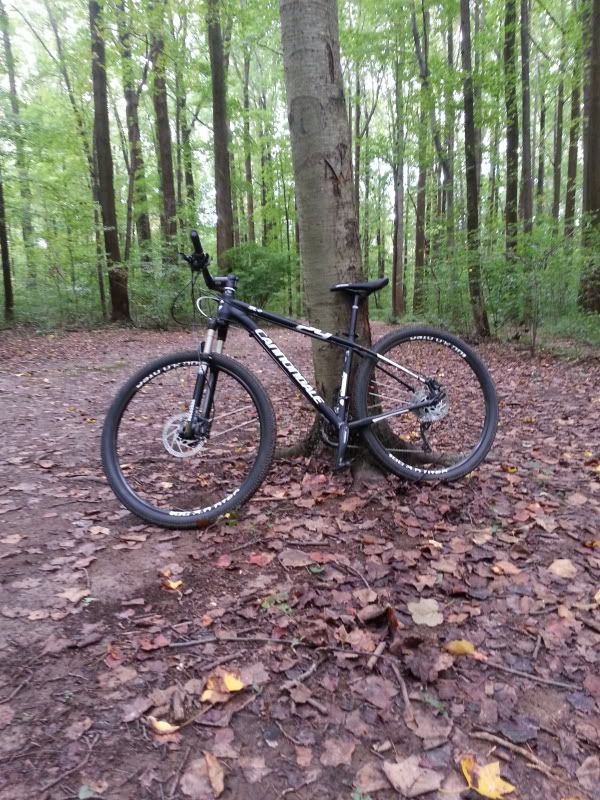 cannondale trail sl3 2014